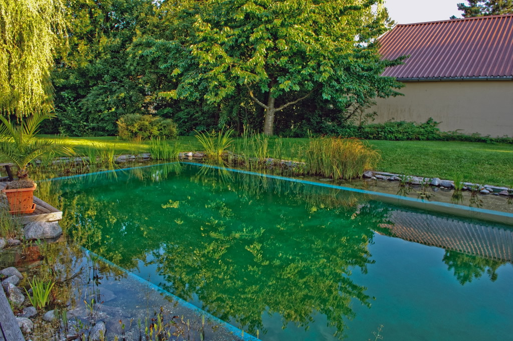 Garten mit Schwimmteich
